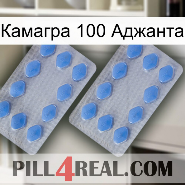 Камагра 100 Аджанта 20.jpg